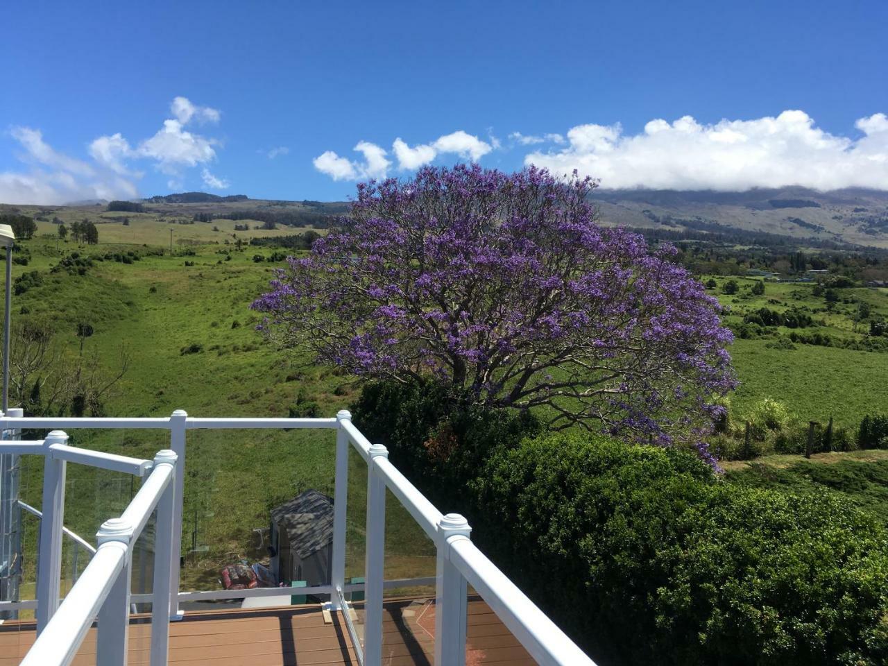 Ha'Le Kiana Bed & Breakfast Kula Exterior photo